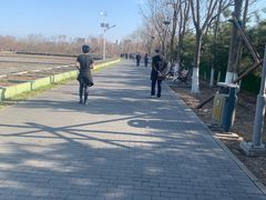 -大兴滨河森林公园