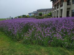 -秦皇岛阿尔卡迪亚滨海度假酒店