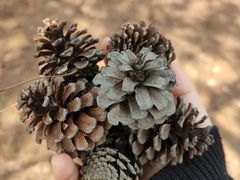 -中国移动南方基地