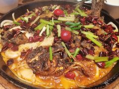 -老板恋上鱼(印象城店)