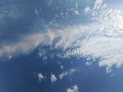 -祥源·阜阳生态乐园