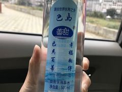 -长寿村