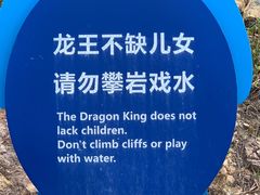-广东惠东海龟国家级自然保护区