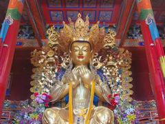 -大召寺明清一条街