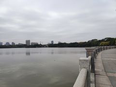 -海珠湖公园