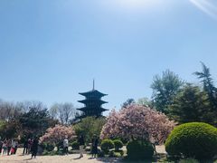 -北京世界公园