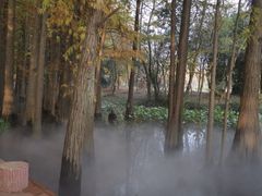 -东湖落雁景区
