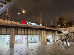 -东方体育中心(地铁站)