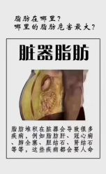 -Lily纤美·科技减脂中心