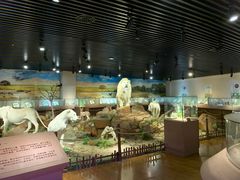 -陕西自然博物馆