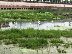 -湖北十堰武当太极湖