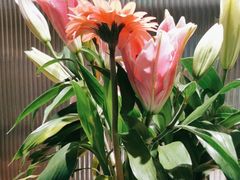 -鑫小城故事·藕汤·家常菜(台北一路总店)