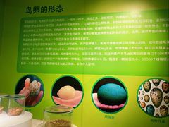 -太原动物园