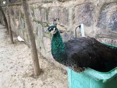 -洛阳马蹄泉旅游度假村