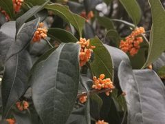 -星巴克(杭州市民中心店)