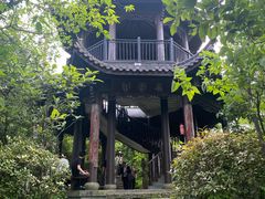 -杭州半山国家森林公园