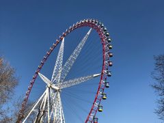 -哈尔滨文化公园