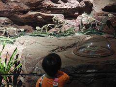 -安徽省地质博物馆