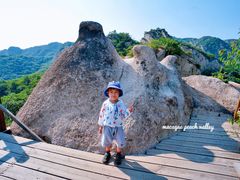 -大岭沟猕猴桃谷风景区