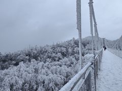 -张家界天门山国家森林公园