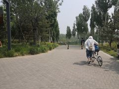 -东郊湿地公园