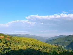 -铜川市金锁关石林