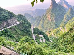 -张家界天门山国家森林公园