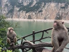 -白帝城·瞿塘峡景区