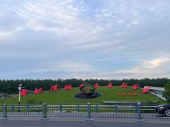 -合肥滨湖国家森林公园