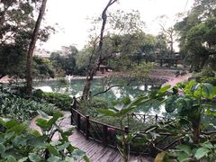 -融水老君洞景区