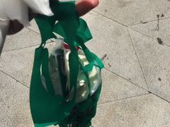 -星巴克(浙江省人民医院店)