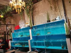 -美庐时尚餐厅(菱角湖店)