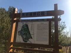 -东郊湿地公园
