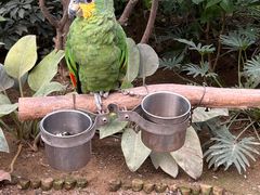 -南宫五洲植物乐园