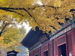 -红螺寺