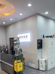 -藤野造型