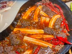 -阳阳老火锅(小南门店)