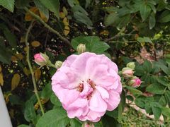 -人民公园(罗湖区)