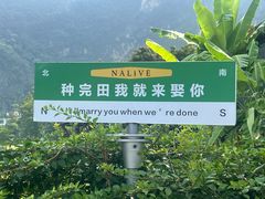 -明仕田园