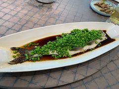 -新光酒家·河豚·海鲜·蟹料理(浦东店)