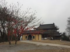 -游子山休闲旅游区