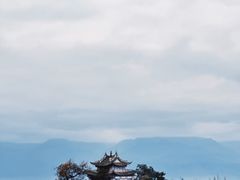 -小普陀