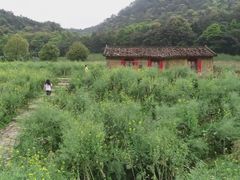 -广州市石门国家森林公园