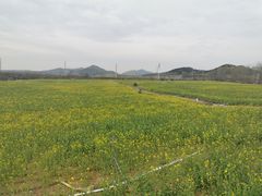 -西海岸生态观光园