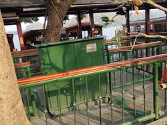 -西湖外事游船(花港观鱼码头)