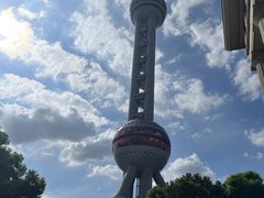 -上海海洋水族馆