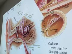 -自然之声助听器·呼吸机(康桥旗舰店)