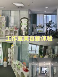 -凡碧诗毛孔清洁收细