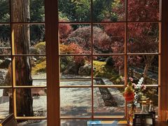 -庆春朴门