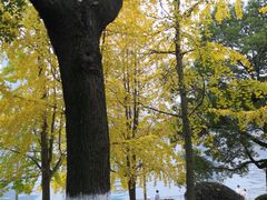 -橘子洲景区
